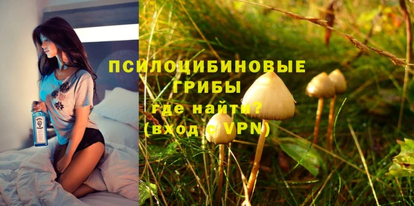 ГАЛЛЮЦИНОГЕННЫЕ ГРИБЫ Нефтегорск