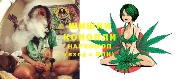 ГАЛЛЮЦИНОГЕННЫЕ ГРИБЫ Нефтегорск